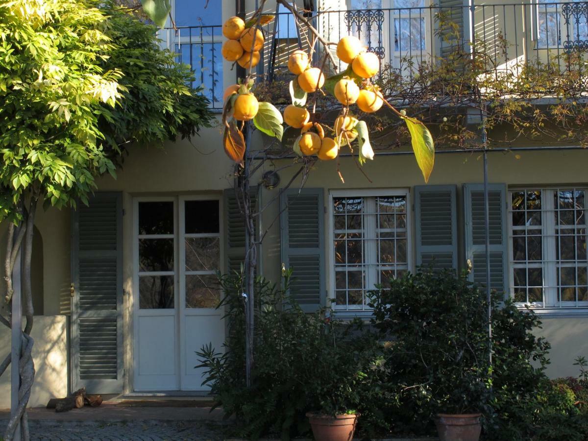 Sotto La Luna Bruna B&B Cocconato Exterior foto
